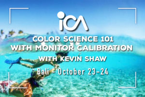 Bali: Color Science 101