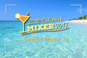 Bali: Colorist Mixer